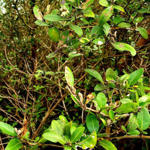 Meet your Posher, Edith